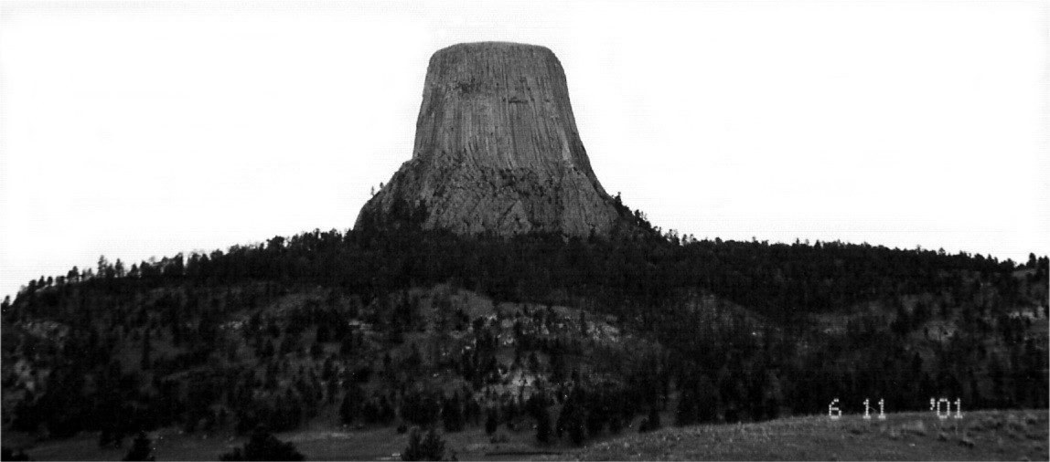 Kinda Looks Like A Furry Nipple, Doesn't It?